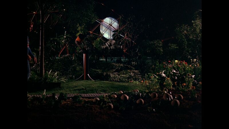 File:TOS - The Magnificent Warriors - Bruce Dern Cameo.jpg